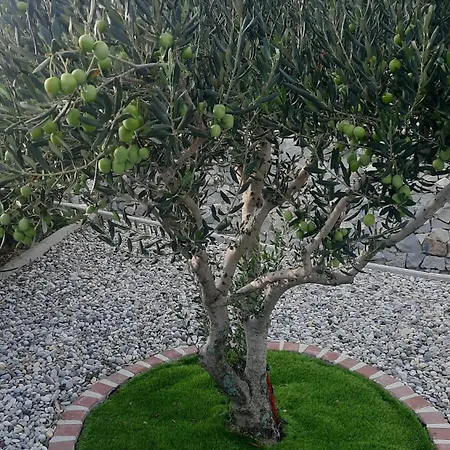 Birdie With Private Pool And Mini Golf *